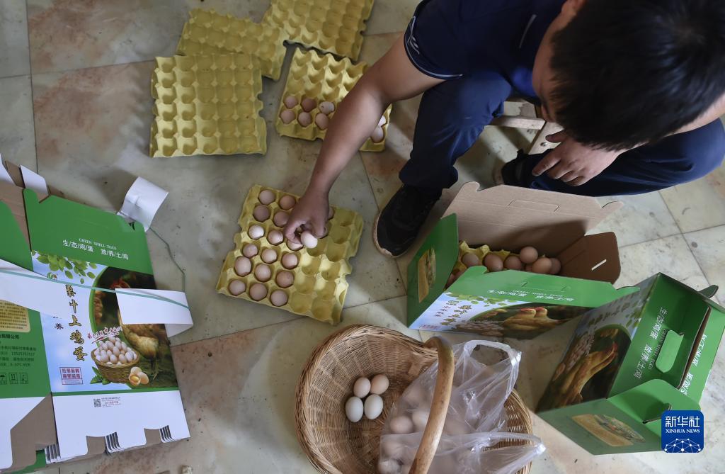 澳门新匍京怎么下载